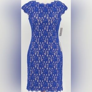 Eliza J Royal Blue Lace Cocktail and Party Dress Size 14